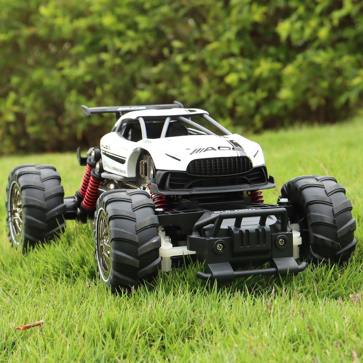 Fuegobird RC Auto - RC Voertuig -  hoge snelheid speelgoedauto - groente