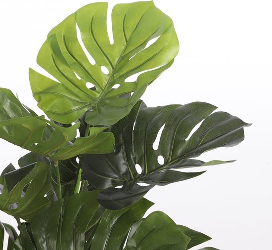 Mica Decorations Monstera Kunstplant - H100 x Ø75 cm - Groen