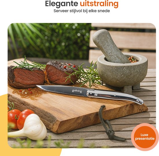 Goliving Steakmessen - Vleesmes - Vaatwasserbestendig - 6-delige Steakmessenset - RVS - Messenset - Kartelmes - Zilver