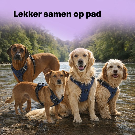 Jake and Jacky Hondentuigje - Anti-Trek Tuig - Hondenharnas - Y Tuig Hond - Reflecterend - Blauw - Maat S