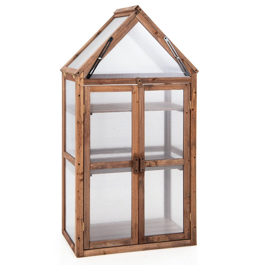 Coast Portable 3 Tier Mini Houten Serre met Verwijderbare Planken Transparant