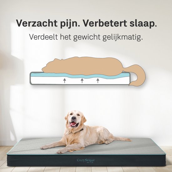 CozySense® – Orthopedisch Hondenkussen 60 X 40 Cm – Maat S - Waterdicht – Geschikt Als Benchkussen & Hondenbed