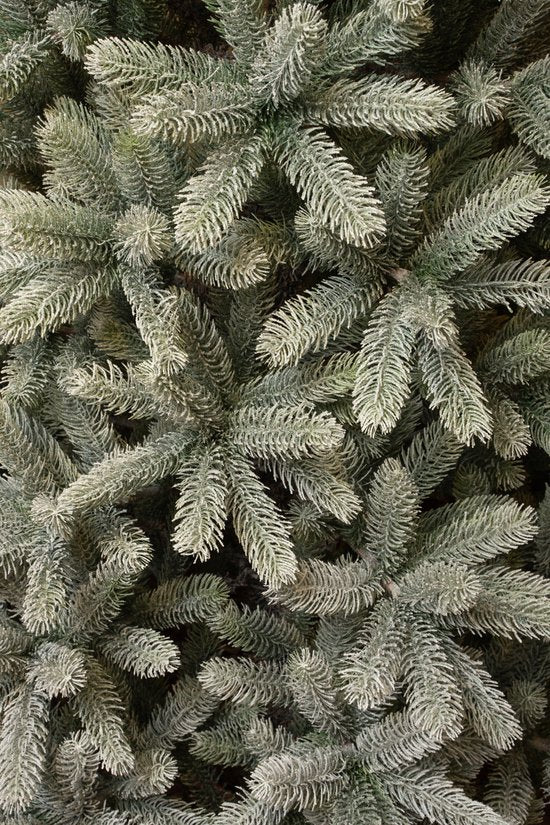 Black Box Trees Nagoya Kerstboom Groen Frosted met Scharnierconstructie - Kerstversiering voor Binnen - Kunstboom met Realistische Uitstraling - Hoogte 180 x Diameter 108 cm