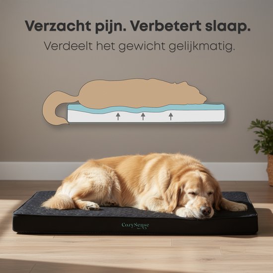 CozySense® Orthopedisch Hondenkussen 60 X 40 Cm – Maat S - Waterdicht – Geschikt Als Benchkussen & Hondenbed - Wasbare Hoes - Zwart