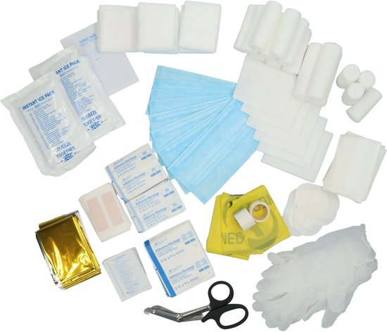Carpoint EHBO koffer 166-delig - DIN13169 – Voor Bedrijf Hulpverleners – 2 compartimenten & kleinere compartimenten - 33x25x13cm
