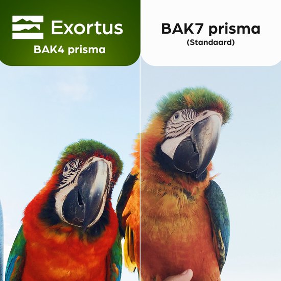 Exortus® FMC Compacte Verrekijker voor Volwassenen & Kinderen – Spotting Scope Telescoop 8x21 – Met Draagtas & Nekkoord – Vogel Spotten, Reizen, Jagen