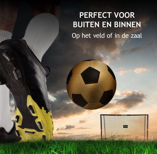 Dunlop Voetbaldoel - Voetbal Goal 300 x 200 x 120 cm - Voetbalgoal Groot - Buitenspeelgoed voor Kinderen en Volwassenen - Snelle Montage - Voetbal Training Doel - Metaal - Zwart/ Rood