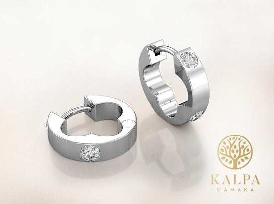 Zilverkleurige Oorringen met Kristallen – 18K Witgoud Verguld – Luxe Giftbox – Dames Oorbellen Cadeau