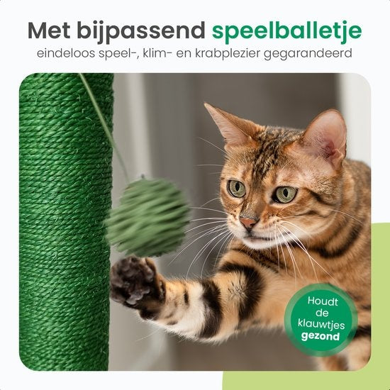 Gopets Krabpaal Cactus - Cactus Krabpaal met Touw - Krabplank modern design - Krabmeubel met Speeltje - 33 x 52 cm