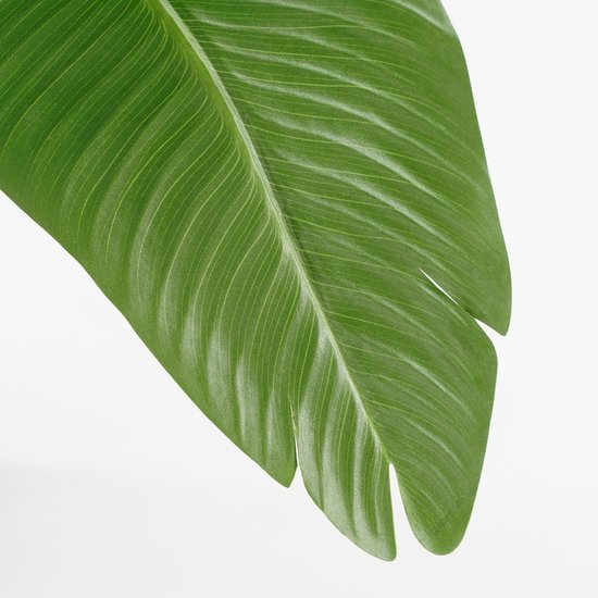 Mica Decorations Bananenboom in Pot - Kunstplant - Groen - 30x30x180 cm