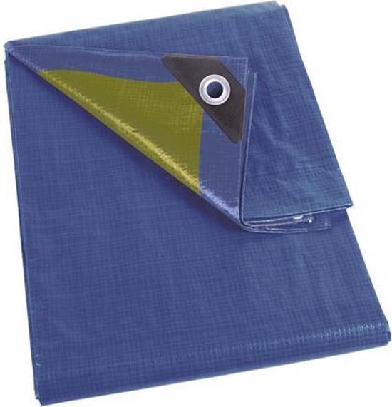 Perel Dekzeil, sterk, 10 ringen, versterkte hoeken, rechthoekig, blauw/groen, 110 g/m², 2 x 3 m