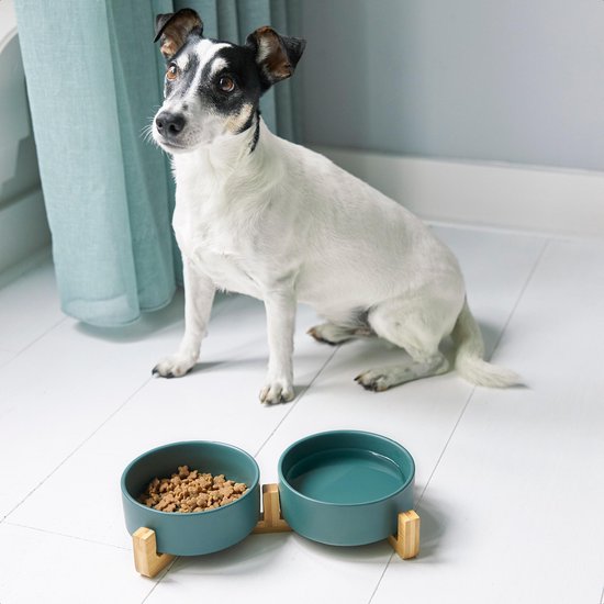 Voerbak Kat en Hond Keramiek - Voerbakken Dubbel met Standaard - Drinkbak - 2x 400 mL - Groen Mat