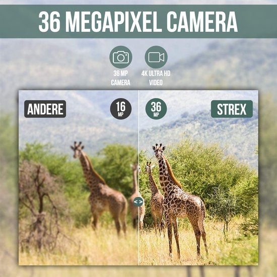 Strex Wildcamera met Nachtzicht - 36MP 4K ULTRA HD - Waterdicht - Incl. 32 GB SD - Wild Camera
