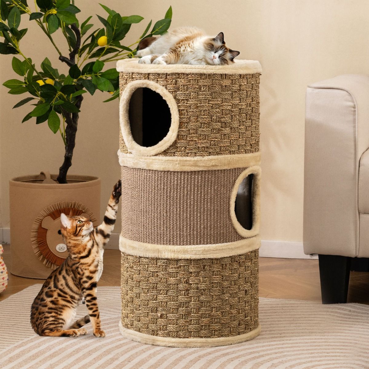 Coast Kattentoren met 3 verdiepingen - sisal krabpaal - knusse slaapplaatsen - kaki en bruin - 36 x 36 x 70 cm