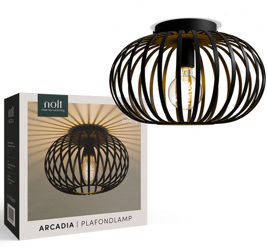 Nolt Plafondlamp Zwart - Plafonniere E27 Lamp - Industrieel - ⌀ 30cm
