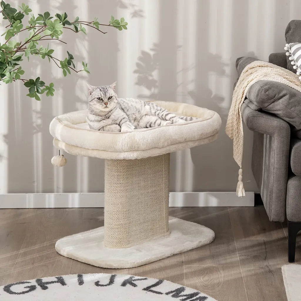 Coast Kattenboom - Interactieve Bal - Pluche - 59x39,5x50cm - Beige