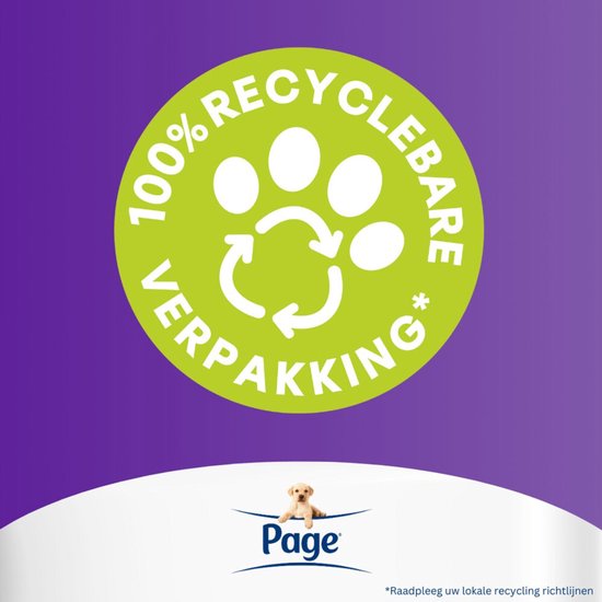 Page® vochtig toiletpapier - Fris en Kalmerend (Care) - met een verzorgende lotion - 456 velletjes - 12 x 38 stuks - Voordeelverpakking