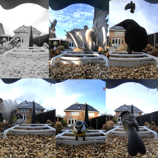 BOME Vogelvoederhuisje - 2K HD Camera - AI Vogelherkenning - Dubbel Zonnepaneel
