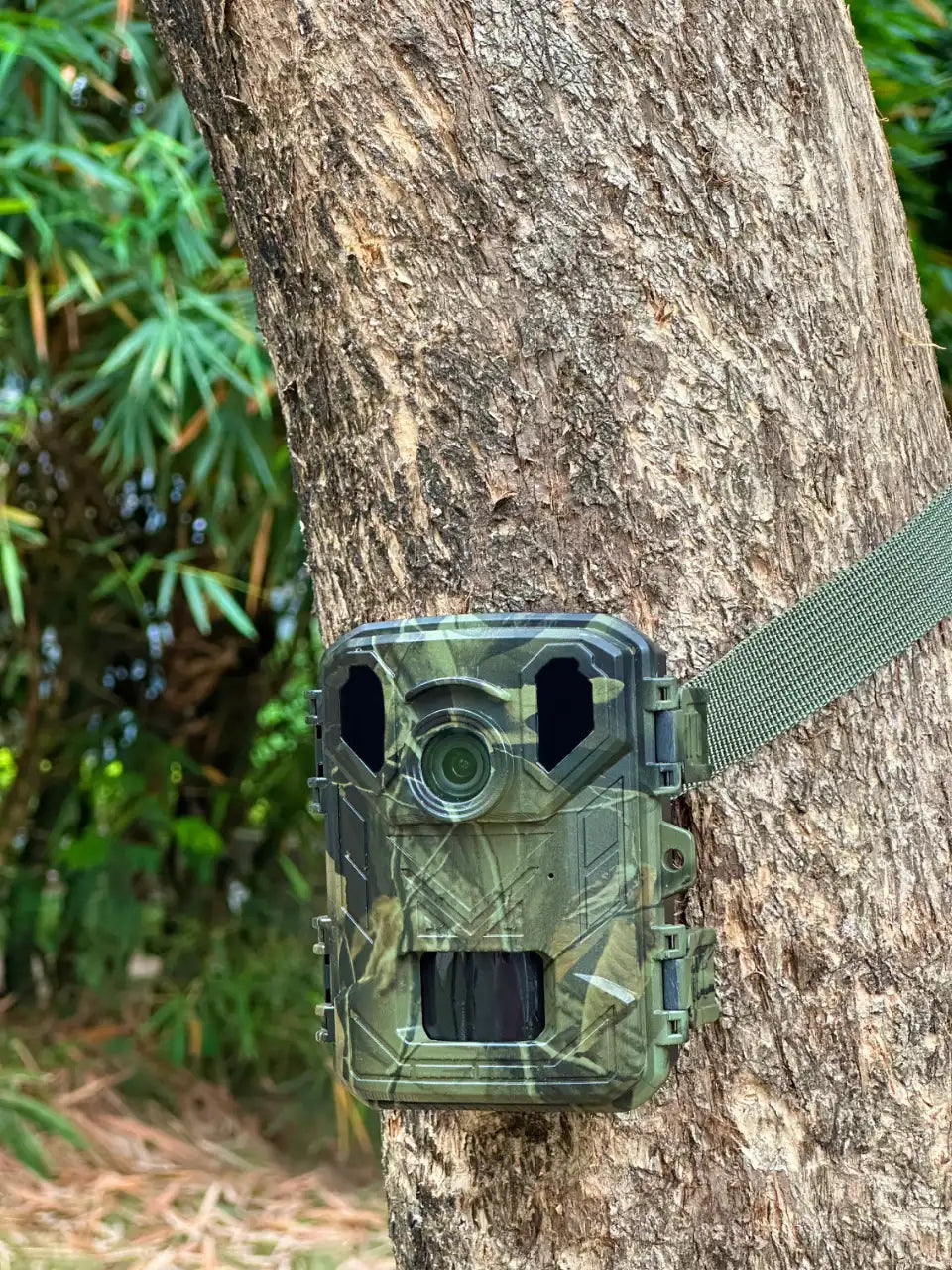 Denver Wildcamera met Nachtzicht - 4K Ultra HD - 50MP - LCD Scherm - Waterdicht - WCS5023