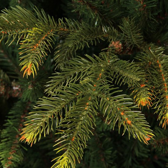 Black Box Trees Frasier Kunstboom - Kerstboom met Grillige Natuurlijke Vorm - PE Naalden en Scharnierconstructie - Kerstversiering voor Binnen - H155 x D109 cm - Groen