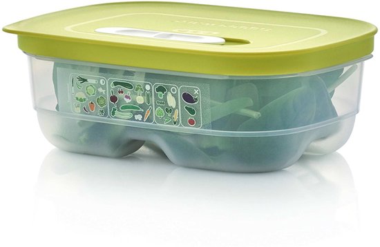 Tupperware Fridge Smart 0,8l - Vershoudbakjes - BPA-vrij - Voorraadpot - Lunchbox - Plastic Bakjes - Voedselcontainer - Voedsel blijft 2 keer langer vers