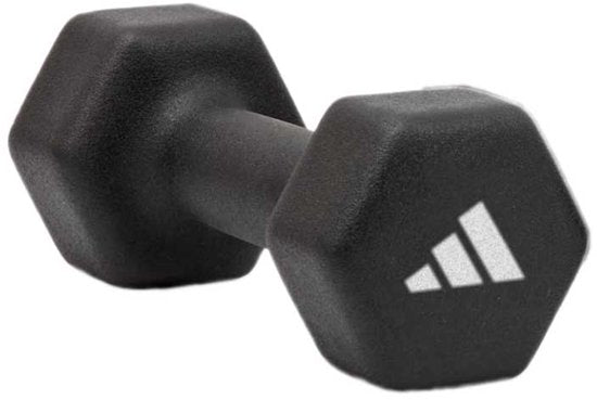 Adidas Fitness Dumbbell 1kg Zilver