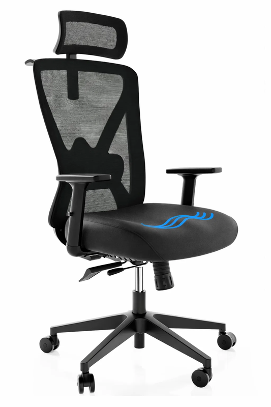 Backerz – Ergonomische Bureaustoel – 44-56 cm Zithoogte & EN1335 Gecertificeerd – Voorzien Van 3D Armleuningen En Verstelbare Lendensteun – Voor Kantoor En Gaming – Zwart Polypropeen En Mesh