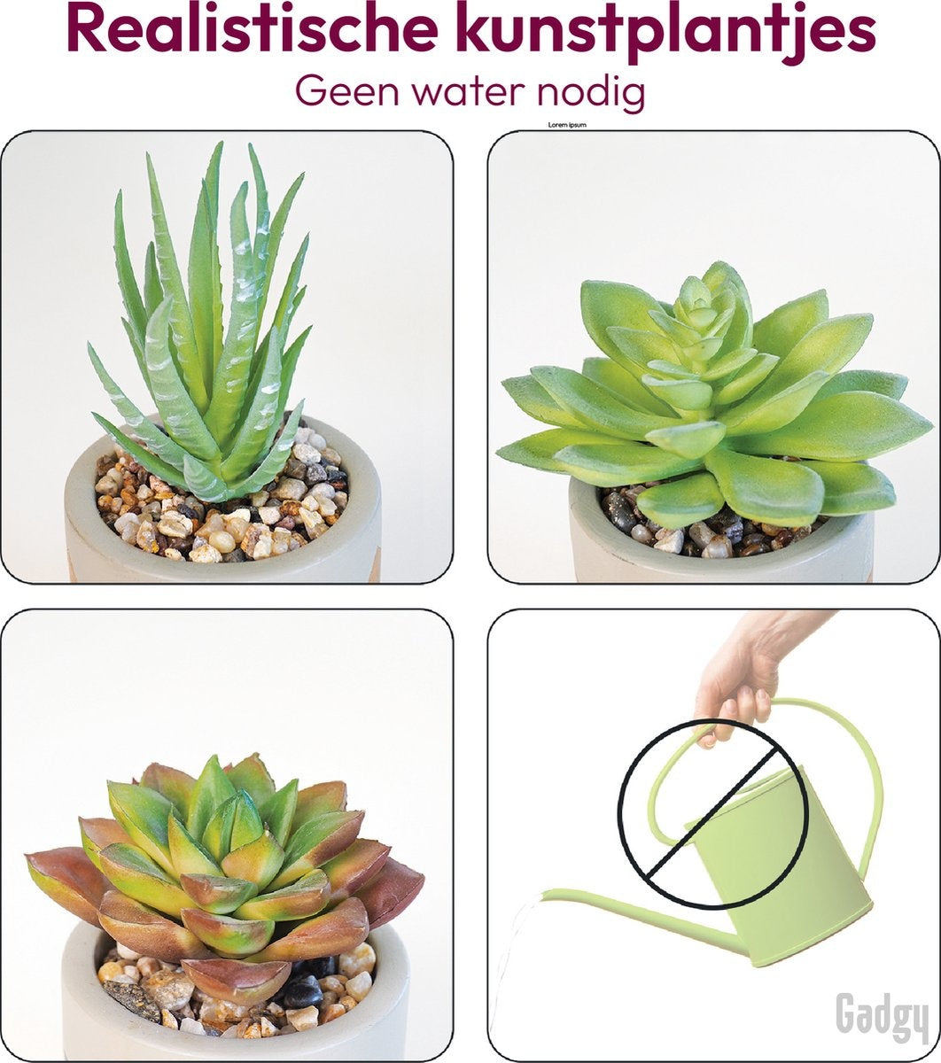 Gadgy Kunstplanten voor Binnen - 3 stuks - Kunst Vetplantjes in Stenen Pot - Nepplant - 13 tot 16 cm