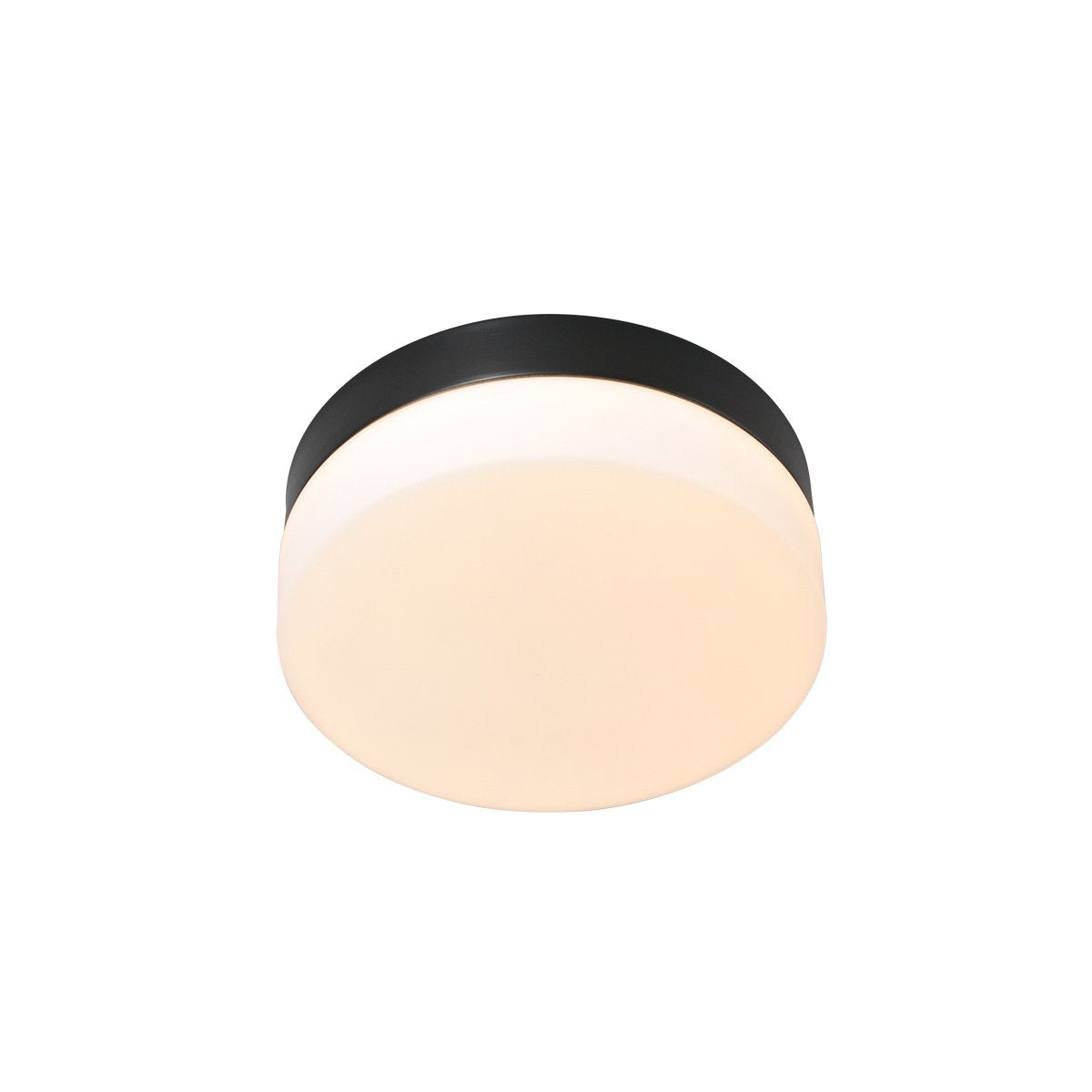 Plafondlamp Ikaro 1362ZW Zwart Ø18cm - Modern, Elektronica & Glas, Steinhauer