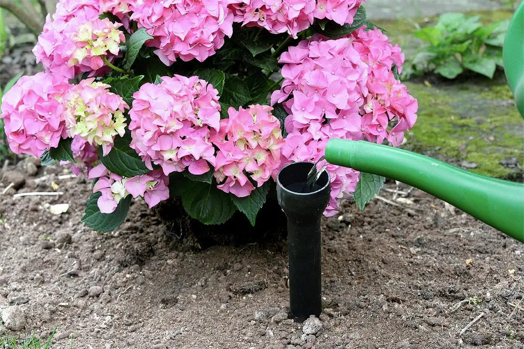 Maximex Wortelwatergever Set 6 Stuks – Ø 5,5 x 30 cm – Gerichte Bewatering