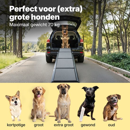 Jake en Jacky Hondenloopplank voor Auto - Opvouwbare Hondentrap - Antislip Loopplank voor Grote Honden - Inklapbaar - Reflecterend - 180x55 cm - Gewicht tot 70 kg