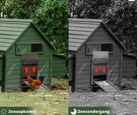 Viervoeter Kippenluik - Chickenguard -Automatische Kippenluik