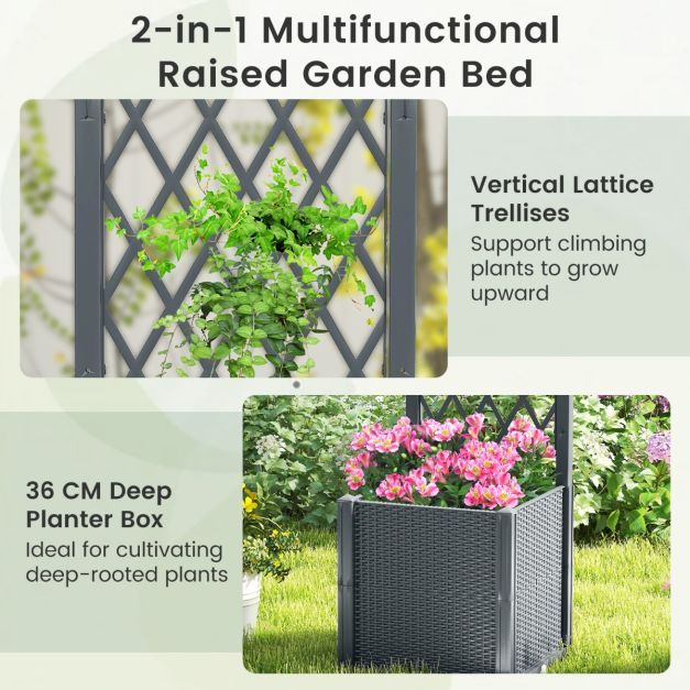 Coast Verhoogde Tuinbak - PP - Klimrek - Zelfbewatering - Verticale Schutting - 40x40x135 cm - Koffie