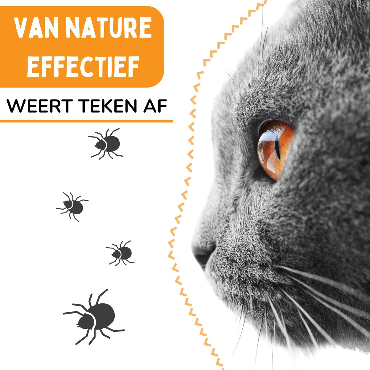Vlooienband Kat Effectief Tegen Vlooien En Teken - Vlooienmiddel - Beter Dan Vlooiendruppels - Grijs - Incl. Vlooienkam - Organic