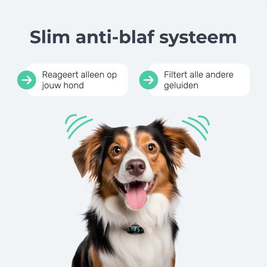 Dutchwide Anti-blafband Pro – 100% Waterdicht – Zonder Schokken – Oplaadbaar