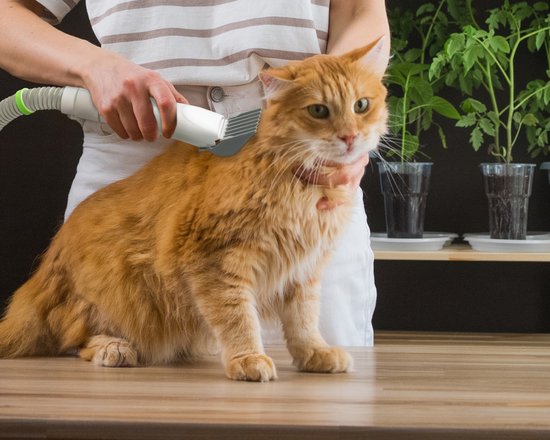 Lifenaxx Huisdierenverzorgingsset LX-052