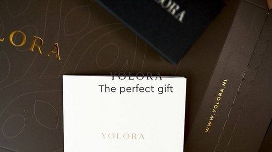 Yolora Dames Ketting met Ronde Hanger - Kalpa Camaka Kristallen - Zilverkleurig - 18K Witgoud Verguld - Vrouwen Collier Zilver - Sieraden - Halsketting - Luxe Giftbox - Geschenkdoos - Cadeau doos - Geschenkverpakking - Mooie Cadeauverpakking