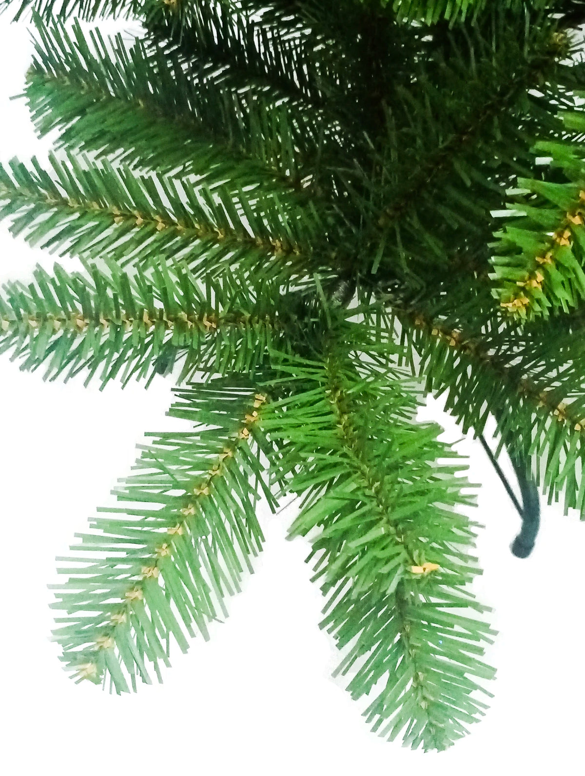 Daisy Darcy Kerstboom Mountain Pine - 183 cm - Diameter 101 cm - Groen