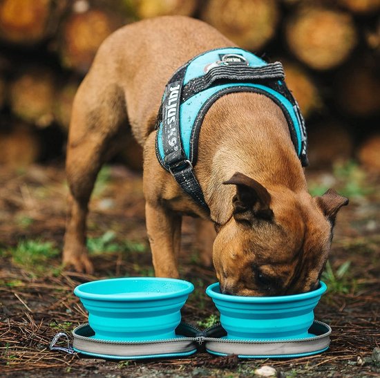 Colapz 2 x Inklapbare Hondenbak - Opvouwbare Hondenbakjes - Hondenwaterbak - Opvouwbare bak met Reistas - Grijs - Kamperen met Hond