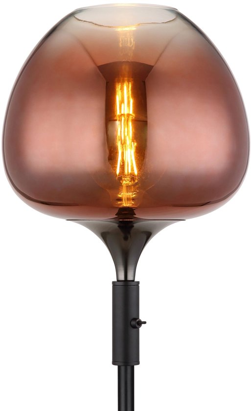 Vloerlamp RIHA Glas 155.0cm Mat zwart | Smoked G9 6-Lichts