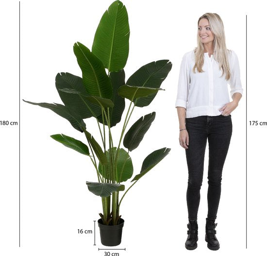 Mica Decorations Bananenboom in Pot - Kunstplant - Groen - 30x30x180 cm