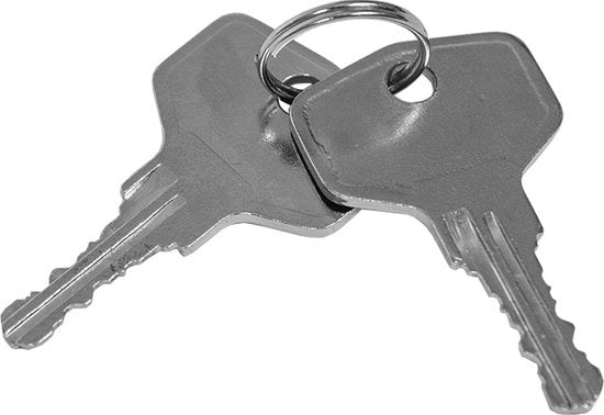 tectake - 2 Vensterhandvat raambeslag raamgreep afsluitbaar wit 400897