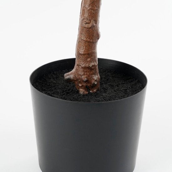 Mica Decorations Ficus Lyrata Kunstplant - Kunststof Kamerplant in Zwarte Pot - Water- en UV Bestendig voor Binnen en Buiten - Onderhoudsvrij Botanisch Decor - H150 x Ø50 cm - Groen