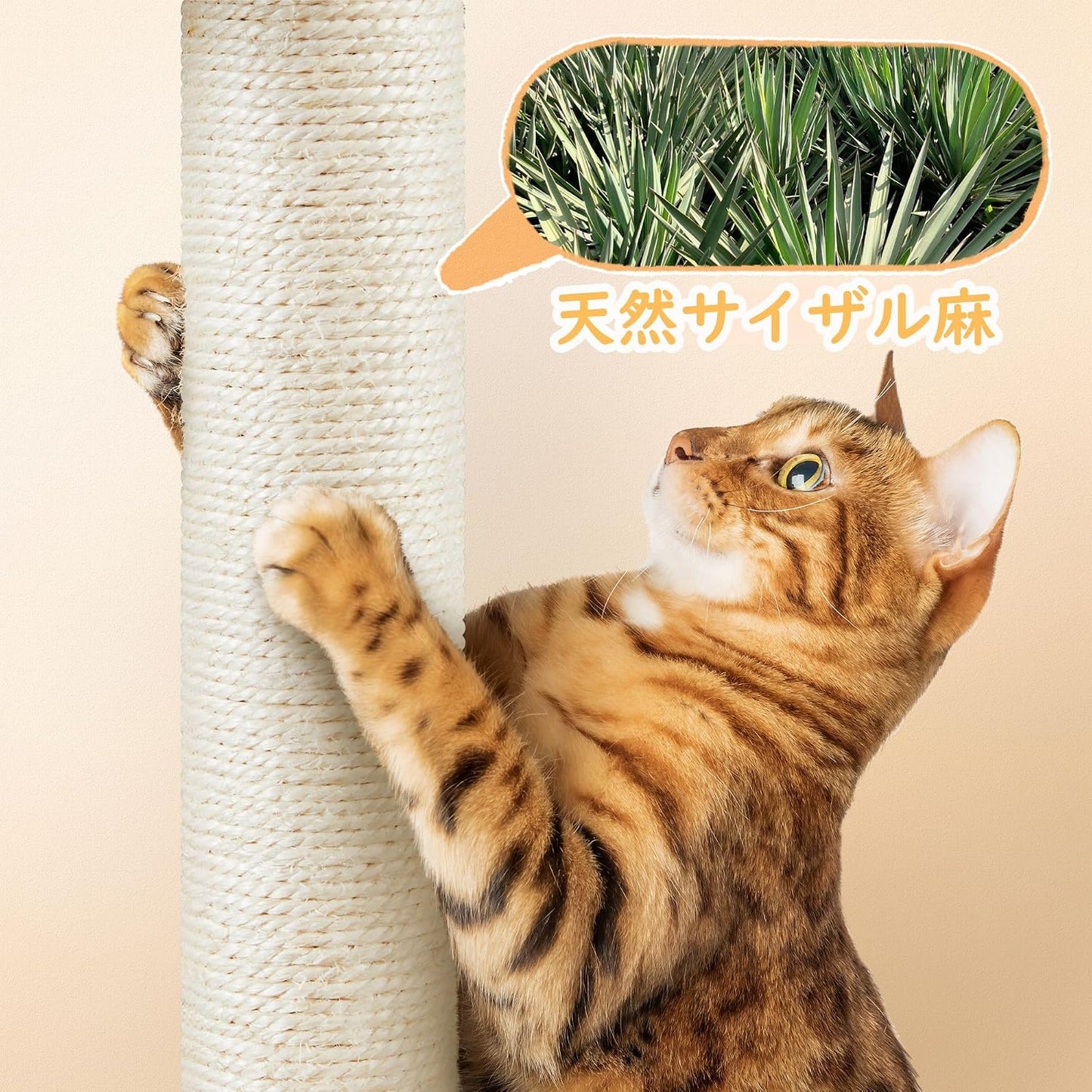 Yaheetech Krabpaal voor Katten - 87 cm - Hangmat - Kattenhuis - Naturel