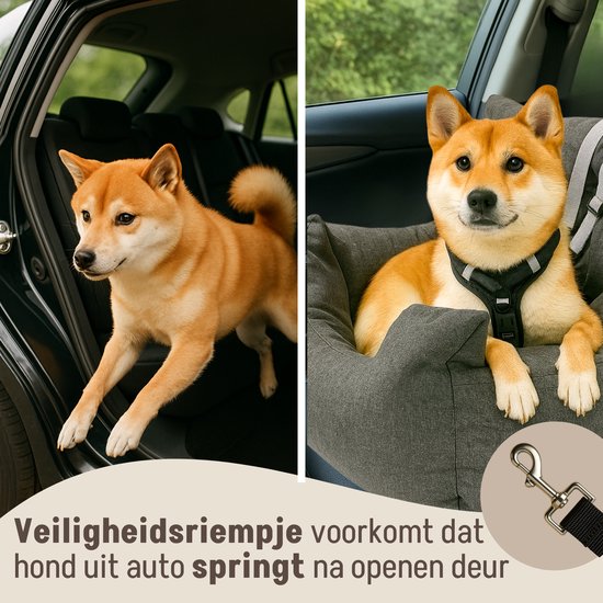 By Cee Cee Autostoel Hond - Premium Automand Hond - Hondenmand Auto Met Veiligheidsriempje - Hondenstoel - Autozitje -All Season - Grijs - Maat M - Kleine En Middelgrote Honden