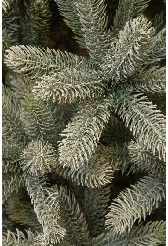 Black Box Trees Nagoya Kunstkerstboom - H120 x Ø79 cm - Groen Frosted