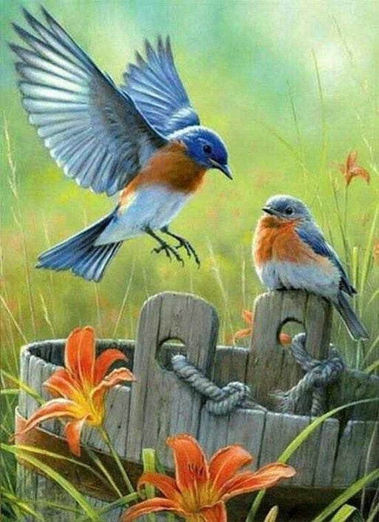 Rubye® Diamond Painting Volwassenen - Diamond Painting Kinderen - Diamond Painting Pakket Volledig - Vogels en Bloemen - 40x50cm