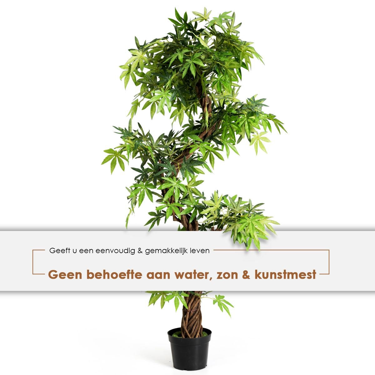 Coast Kunst Bonsai - PVC - 160 cm - Voor Binnen & Buiten
