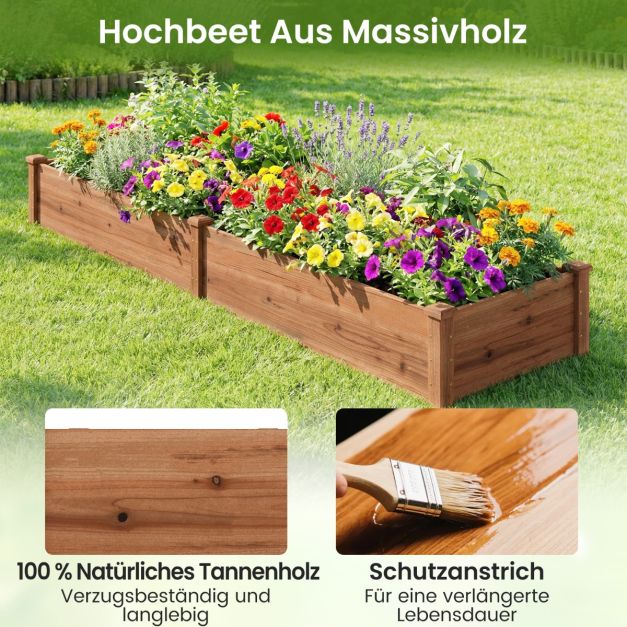 Coast Verhoogde Plantenbak Bruin – Houten Moestuinbak met 2 Kweekvakken en Verdelers – 228 x 62 x 25 cm