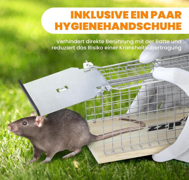 LEBENLANG Rapizz Rattenval Levend Set van 2 - Hout - 30 cm - Diervriendelijk